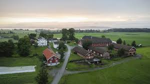 FOKHOL GÅRD – lokalmat direkte fra gården