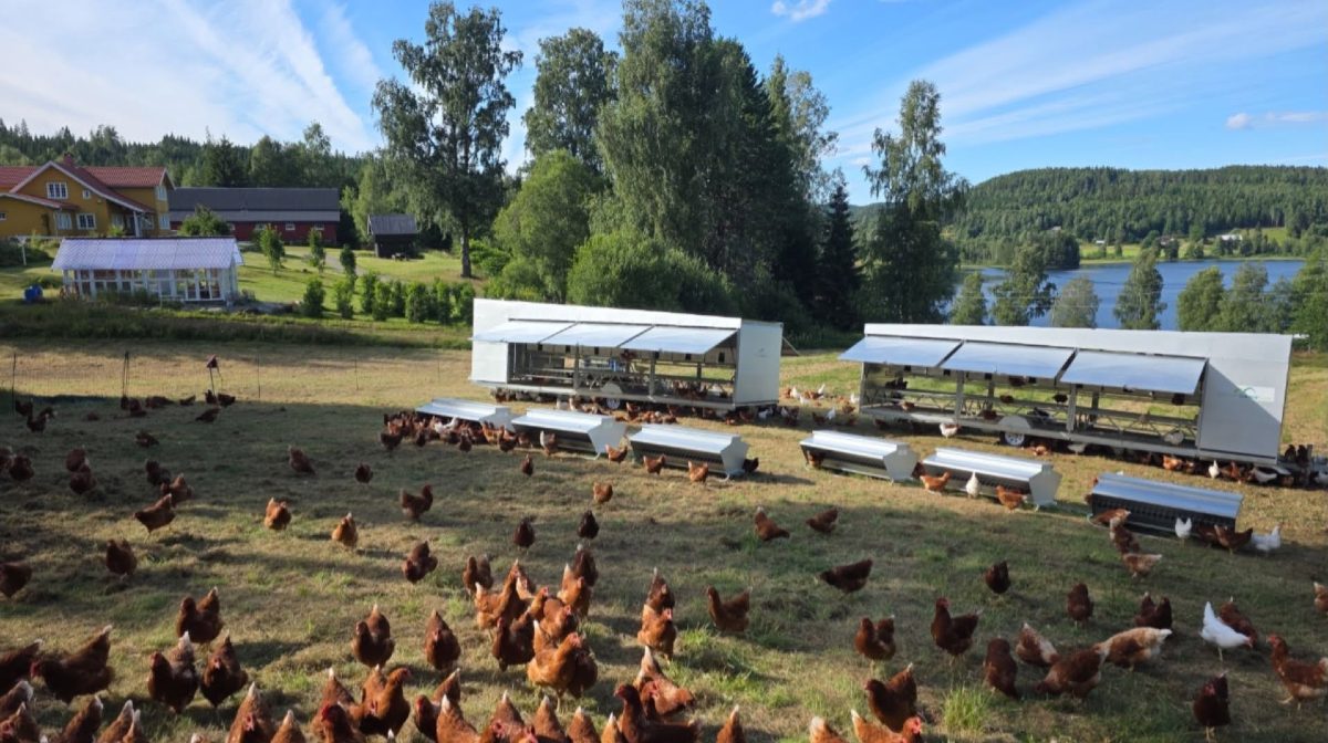 Finsrudbråten Gård – lokalmat direkte fra gården