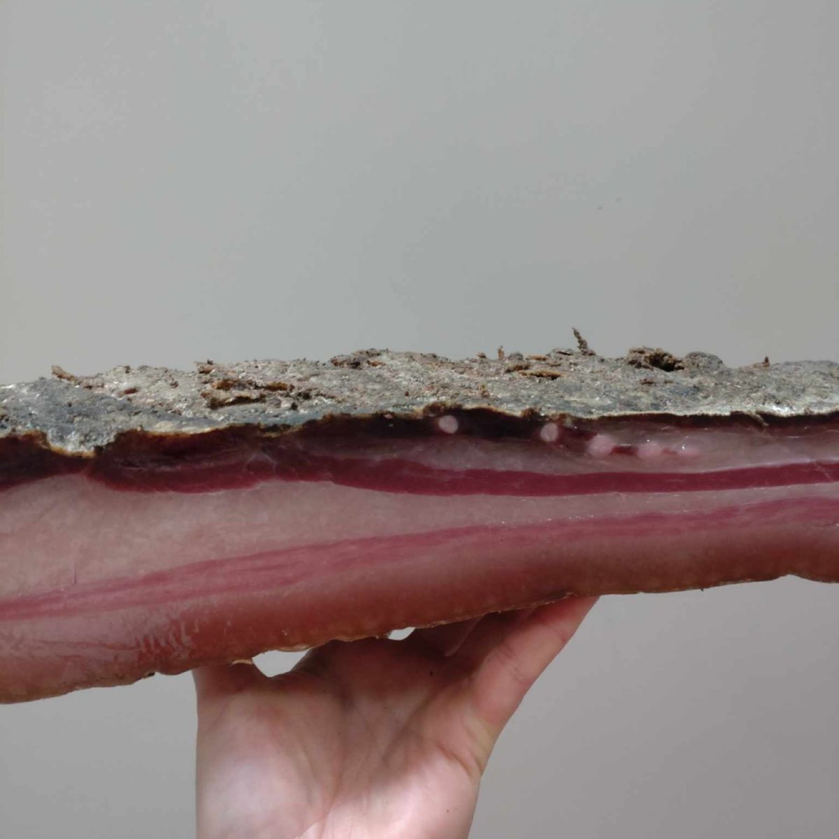 LOMKILEN,  pancetta