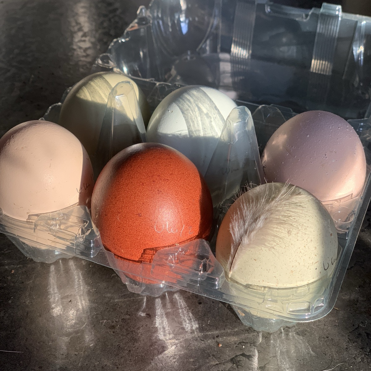 6pk egg fra lykkelige høner