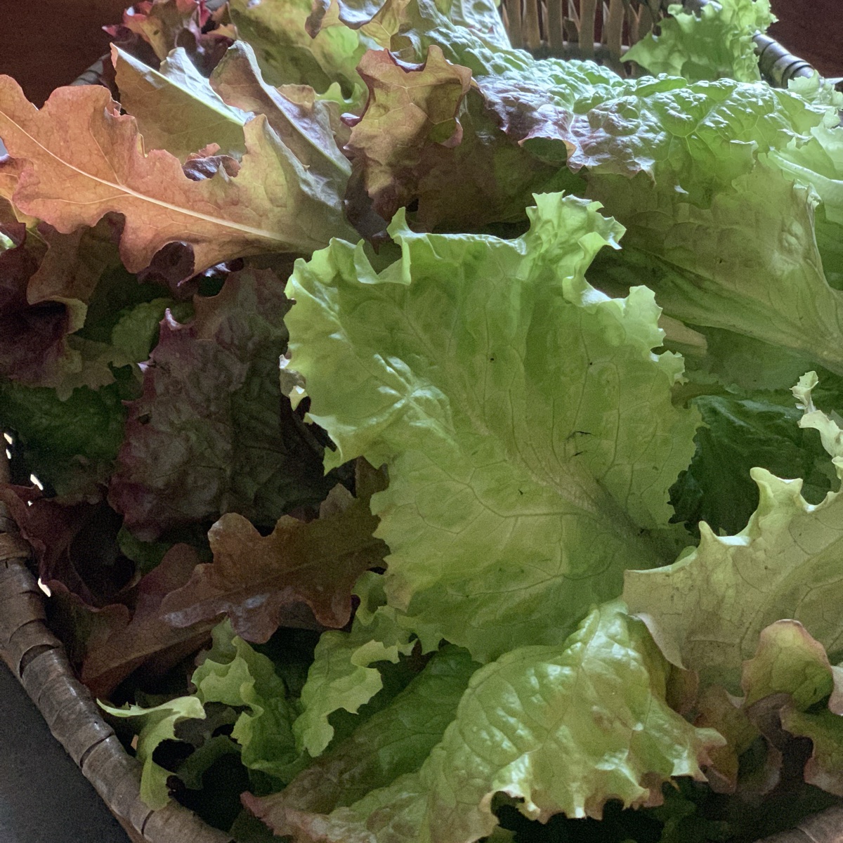 Plukksalat 100g