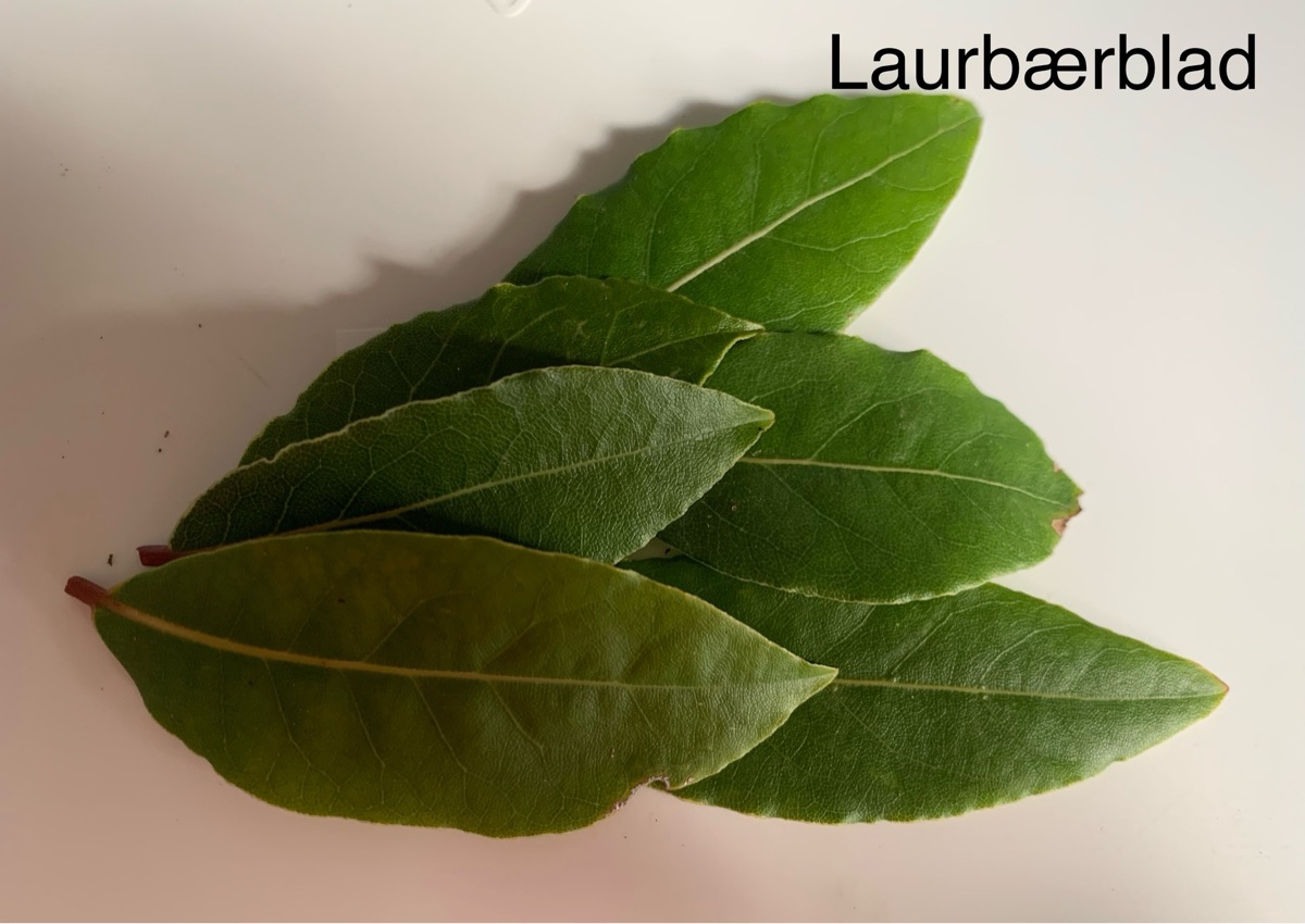 Laurbærblad 6stk