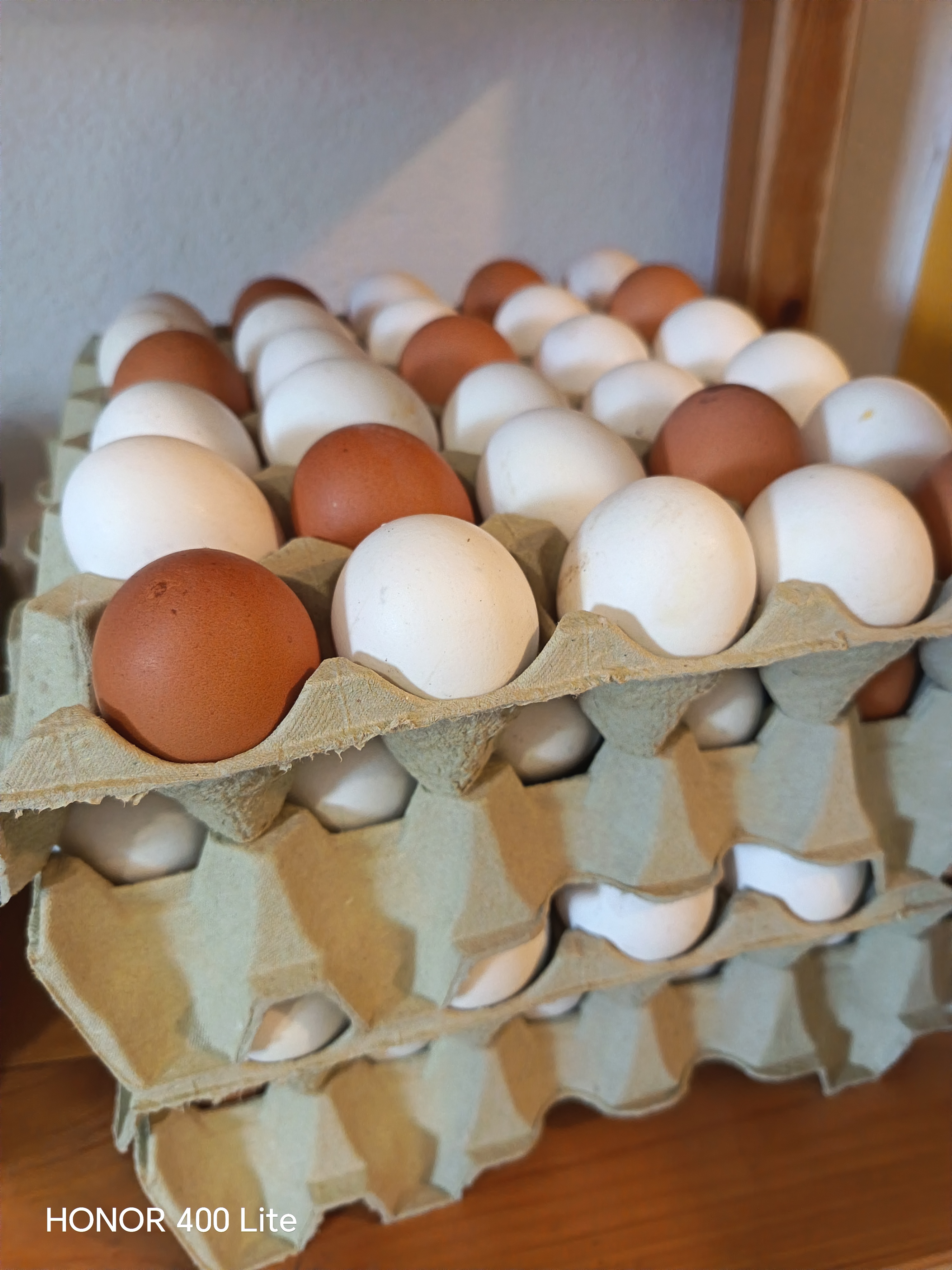 30 Biodynamiske egg inkl brett