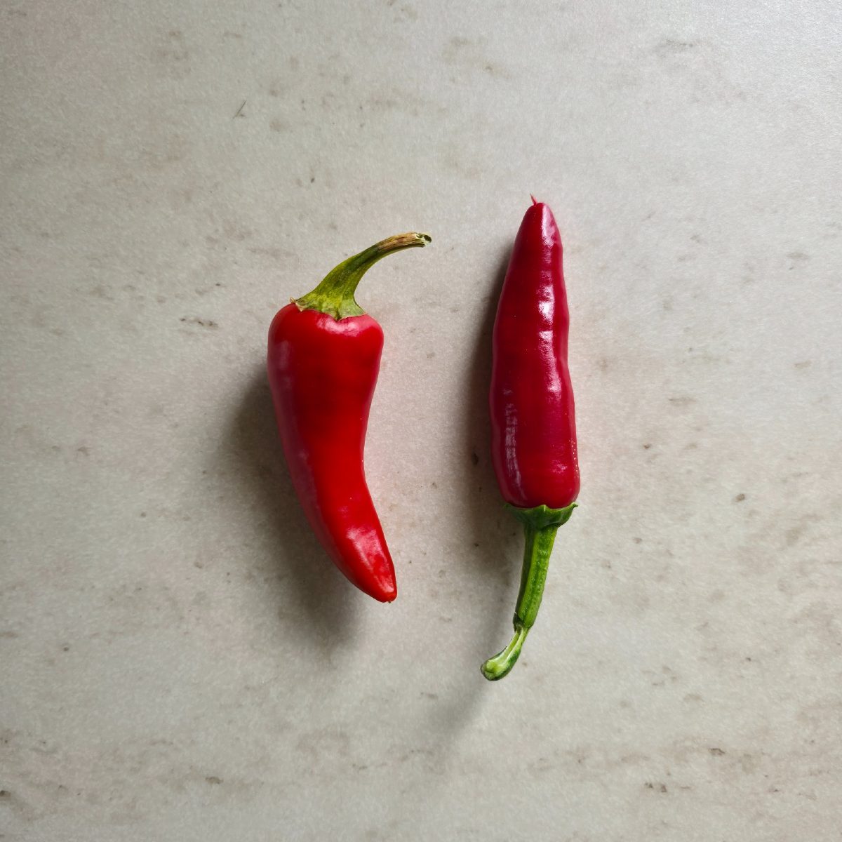 Chilli assortert