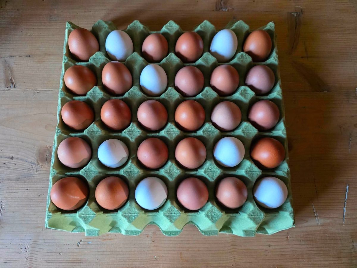 Egg (30 stk.) fra beitende høns fôret med økologisk, soyafritt kraftfôr.