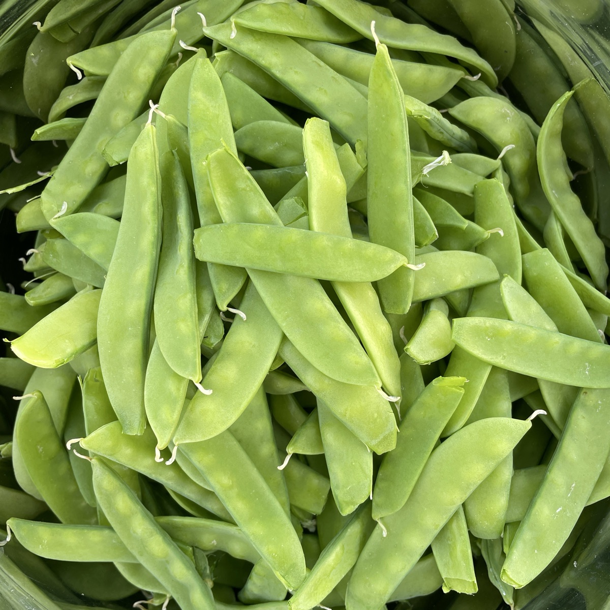 Sukkerert Norli, pose ca 100 g