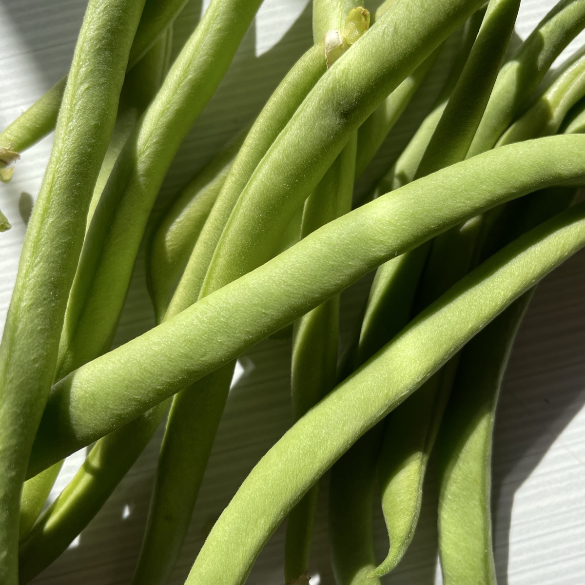 Brekkbønne Maxi, pose ca 150 g