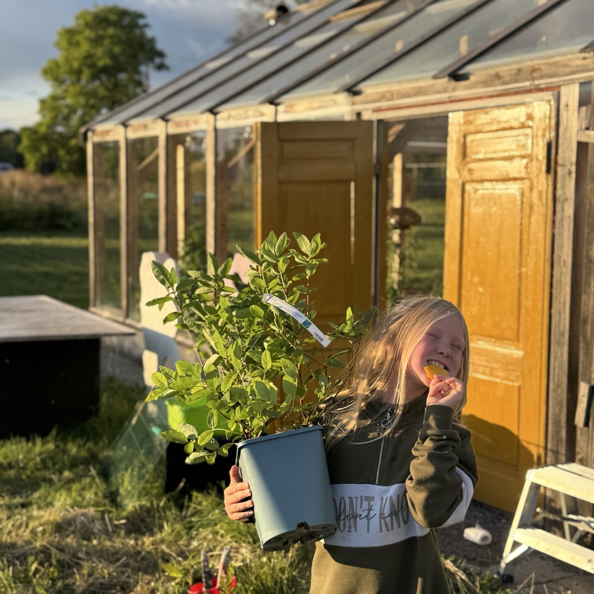 Familieandel i Grette andelsgård 2026