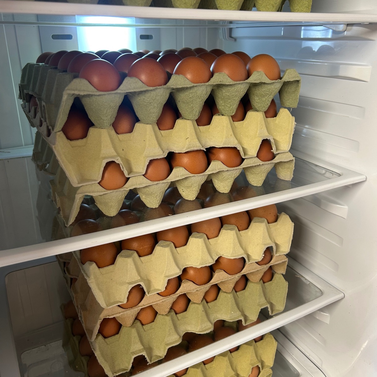 Egg