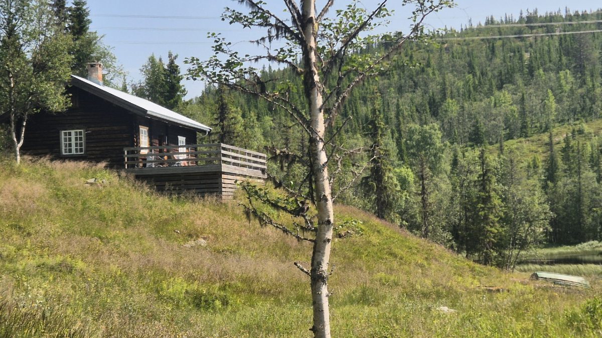 Dakkeseth  Utleie av seterbu