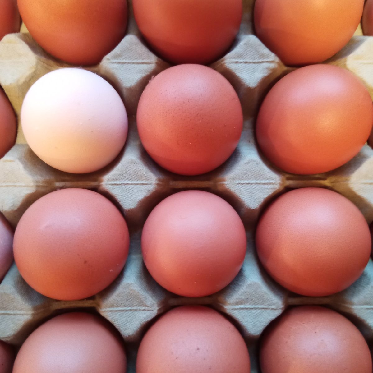 Egg fra beitehøns 30stk