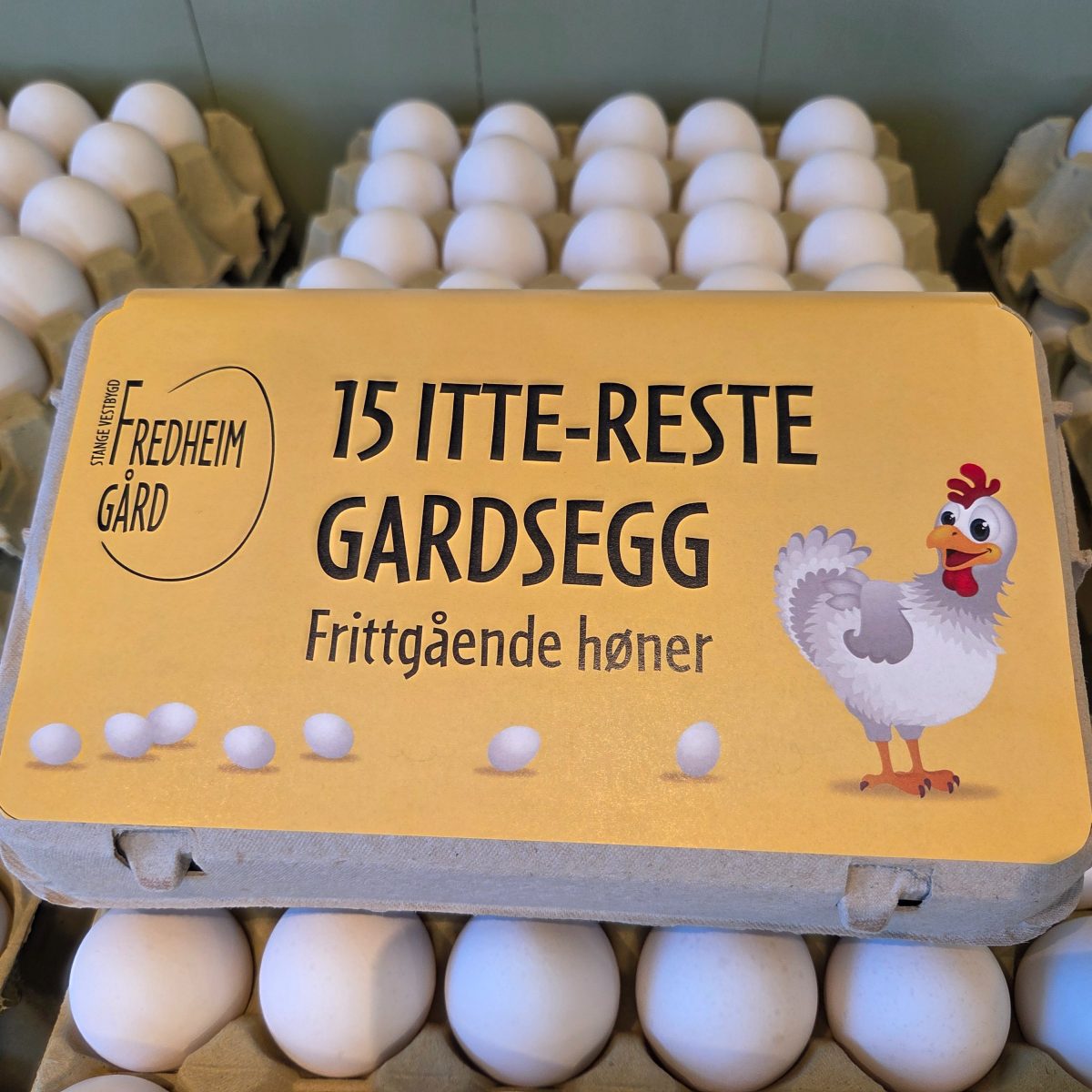 Egg 15 pakk