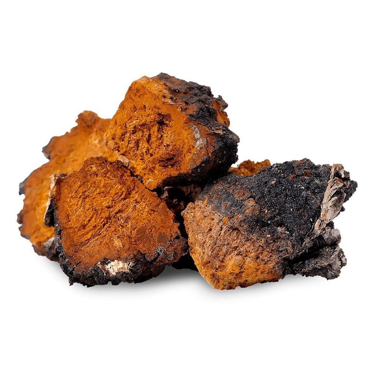 Tinktur av Chaga